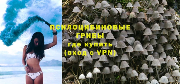 сатива Белокуриха