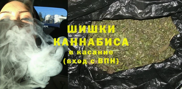 сатива Белокуриха