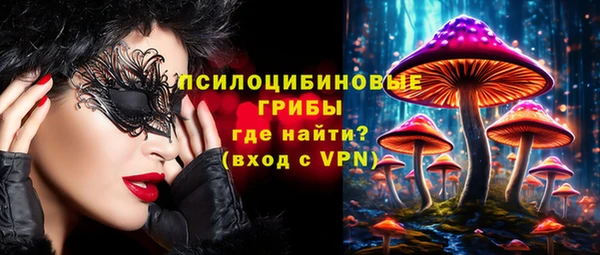 сатива Белокуриха