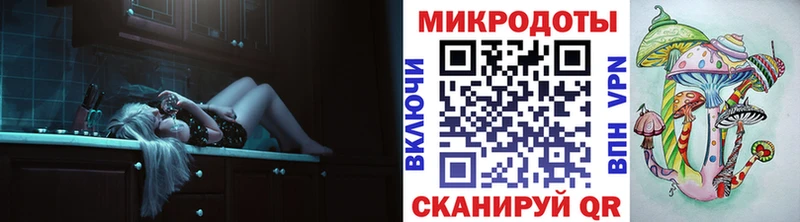 Галлюциногенные грибы Psilocybine cubensis  Гудермес 
