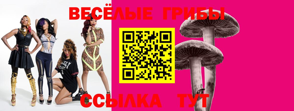Гудермес  Галлюциногенные грибы Cubensis  Галлюциногенные грибы Psilocybe  где продают наркотики  Вход с VPN 